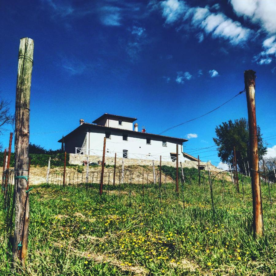 La Valle B&B Cavriglia Extérieur photo